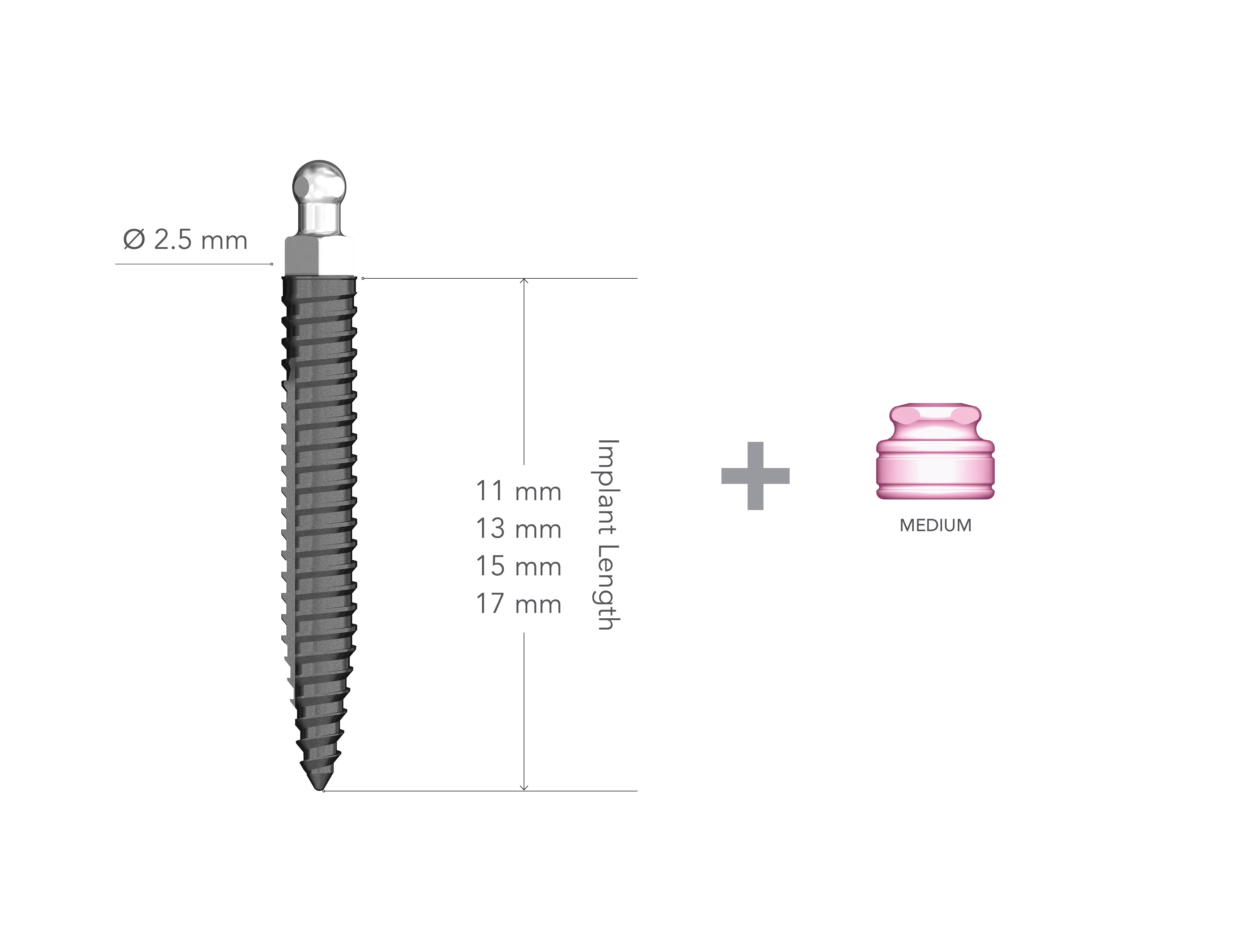 Lew 2.5 x 13mm Non-Collared Implant with MH2