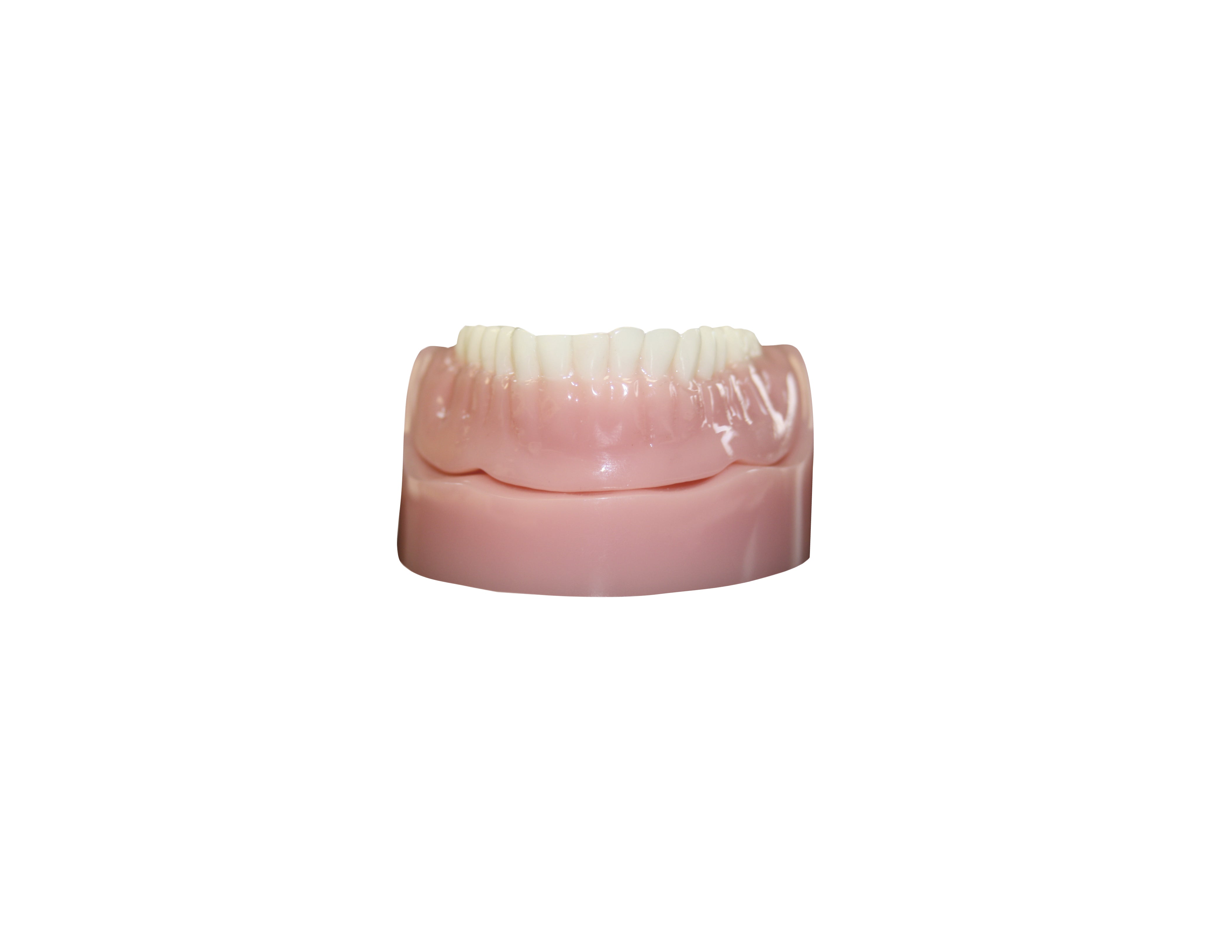 Patient Demo Model (denture)