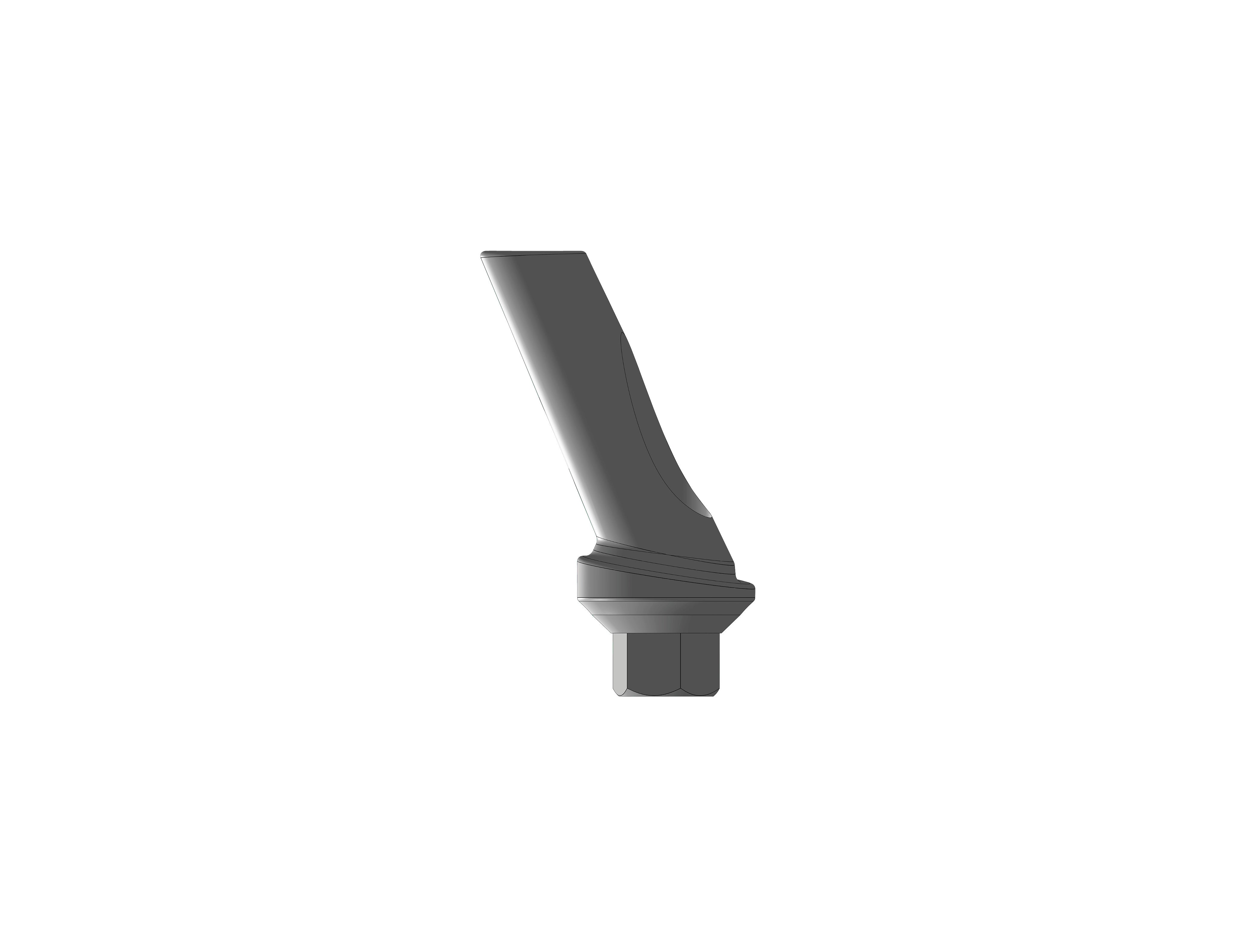 StarVent XP Hexed Angled Abutment 25 Degree Peek (Temporary)