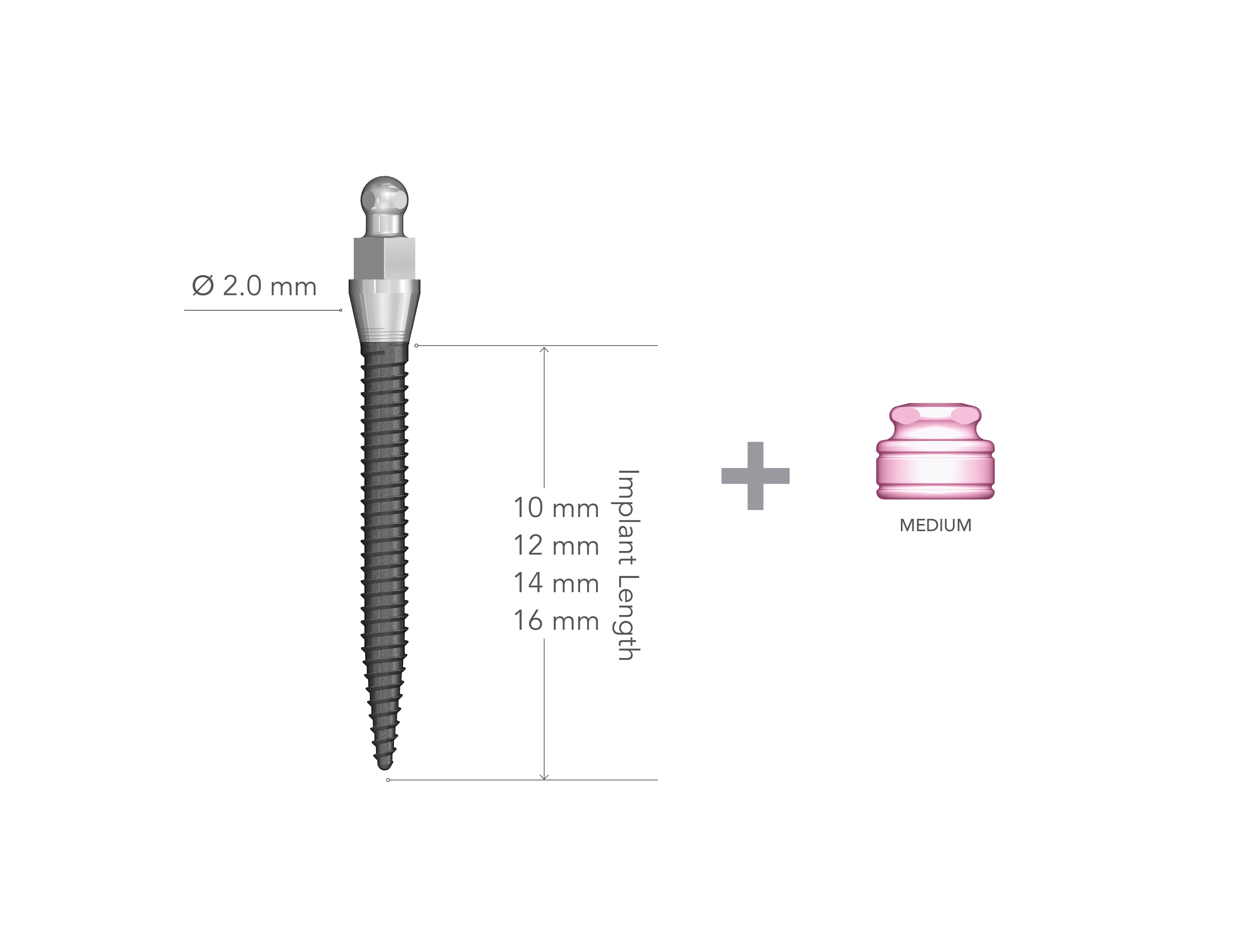 IMTEC 2.0 x 12 mm Collared Implant with MH2
