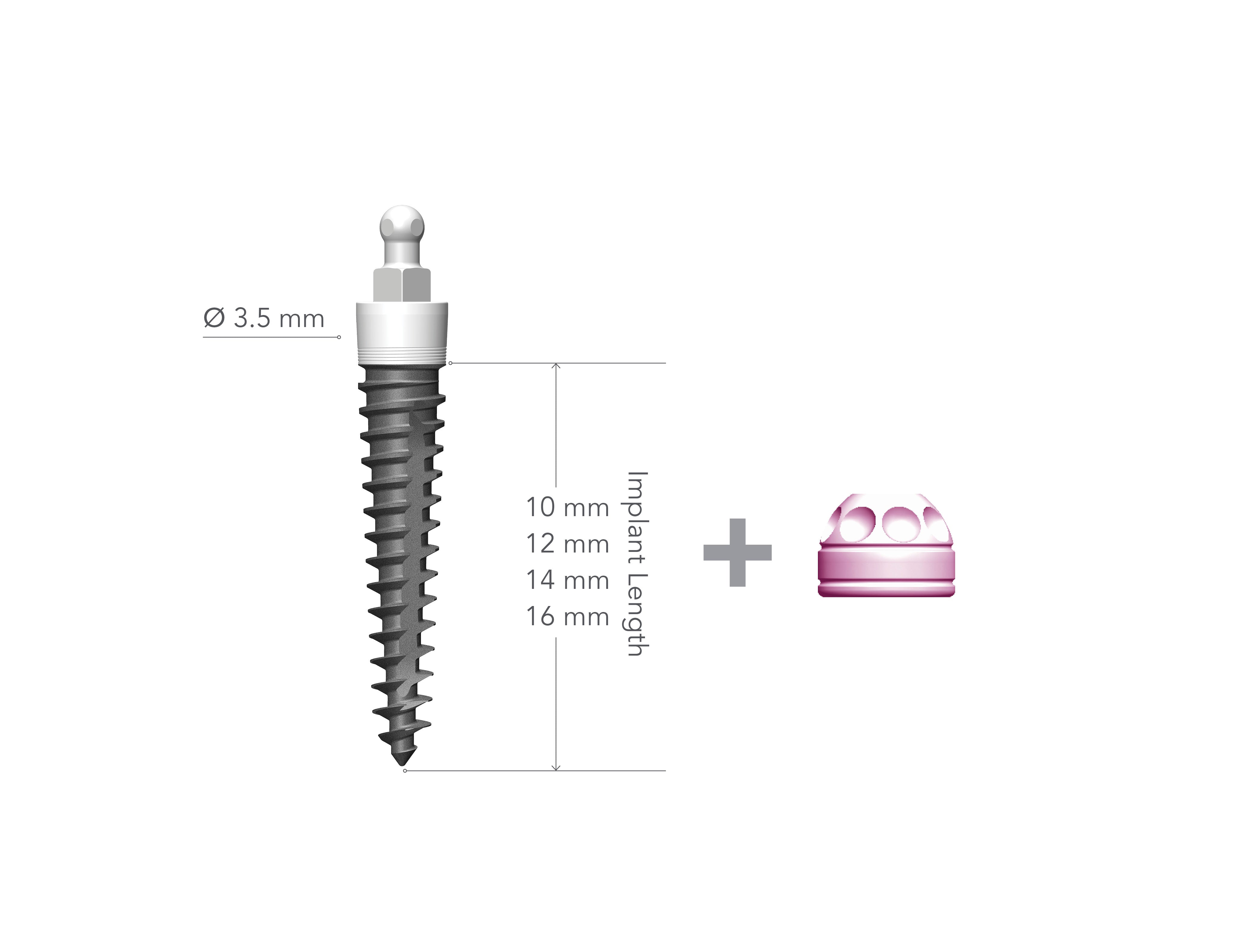 IMTEC 3.5 x 12mm Implant with MH1